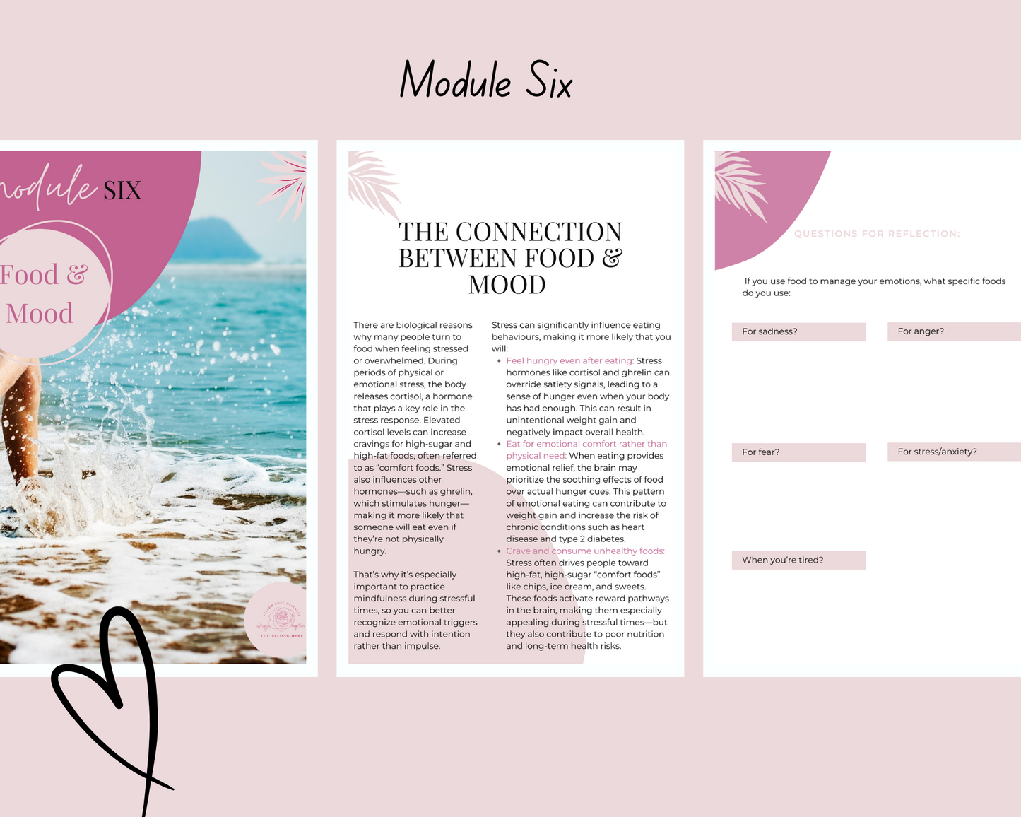 Module 6: Food & Mood — Nourishing Your Body, Supporting Your Mind